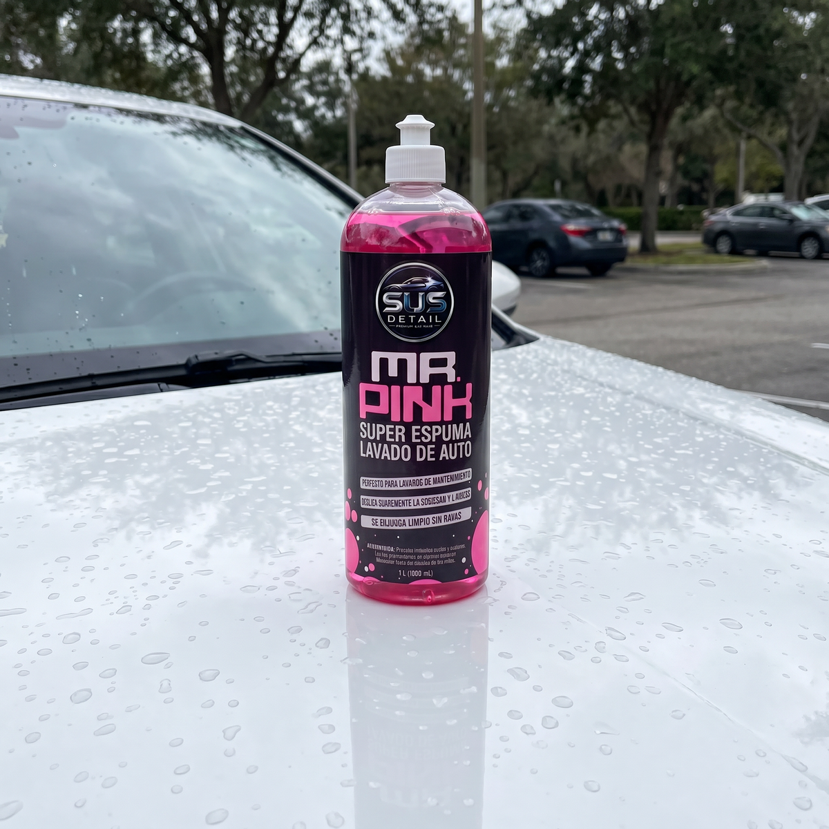 Shampoo Espuma 1 L — 5