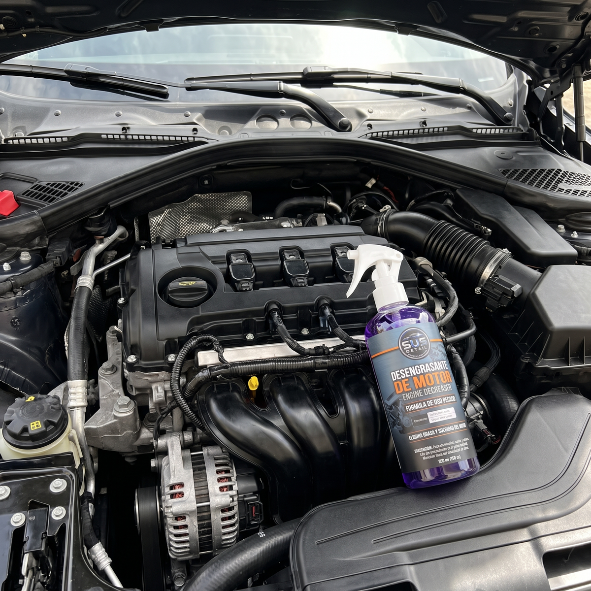 Desengrasante de Motor 500 cc — 4